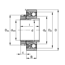 ���{�����S�� 2209-K-2RS-TVH-C3 + H309, ���� DIN 630 �� DIN 5415 �˜ʵ���Ҫ�ߴ�, ���F�׺;o���ף��ɂȴ��ܷ�
